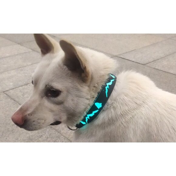 DOGLED Flashing USB-C led Light up Dog Collar, Mountains Multicolored Lighting - - Picture 2 of 4